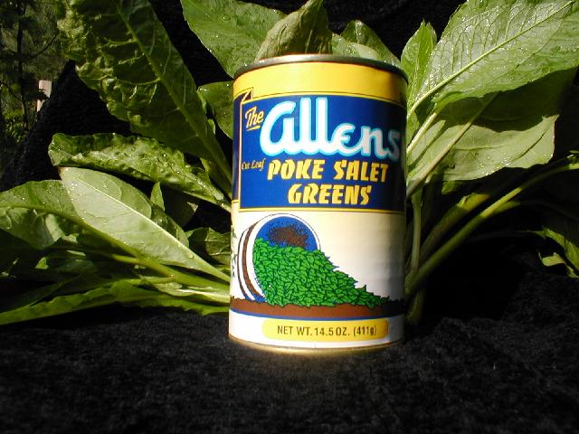 What is Polk salad?